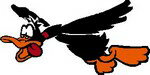 樂天商城 - 『FLYING DUCK』（フライングダック）DECAL（小）