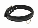 yCessna Premium Leather Dog Collarz ZXi v~AU[ hbOJ[ {v 