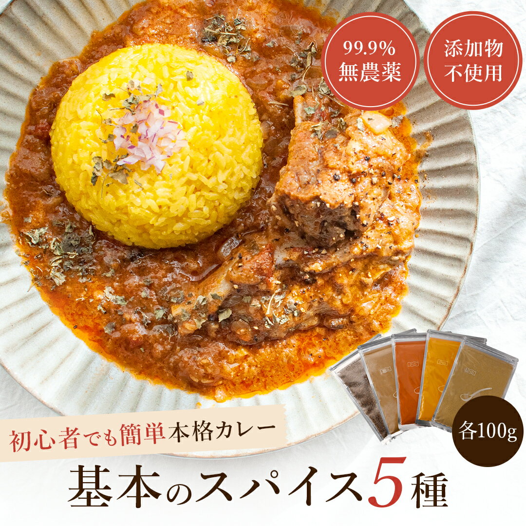 【D'sTs】 スパイスセット100g×5種 ターメリック コリアンダー チリパウダー クミンパウダー クミンシード カレー粉 カレーパウダー 無添加 スパイスカレー カレースパイス
