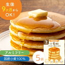 ホットケーキミックス 小麦粉 パンケーキミックス 小麦粉【レビュー投稿でプレゼント】D'sTs こめ粉 100g×3個、5個、10個セット ホットケーキ パンケ...
