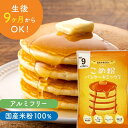 米粉パンケーキ ミックス 【ランキング1位、3冠達成】 パンケーキ 【レビュー投稿でプレゼント】 ホットケーキ ミックス 米粉D'sTs こめ粉 100g×3個...