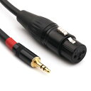 NANYI 3.5mmステレオXLR (メス)マイクケーブル マイク用またはプロ録音用 Mixing,