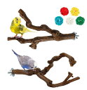 止まり木 2本セット 止まり台 天然ブドウの木 爪とぎパーチ インコ とまり木 爪を研ぎ 鳥スタンド 鳥 おもちゃ 噛むおもちゃ 鳥用品 鳥休み場所 オウム 小さなペット用品 取り付け簡単 鳥栖