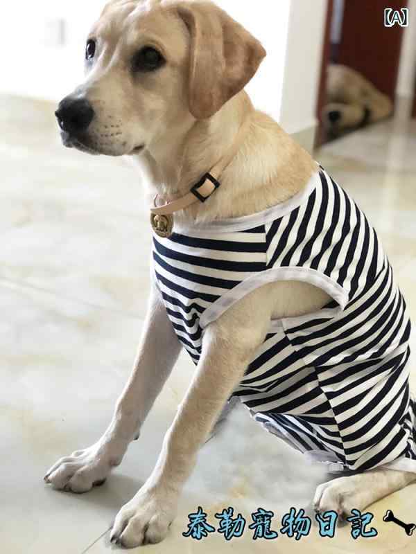 大型 犬の 腹 服 金 毛 ラブラドール 雌 犬の 離乳 服は お腹の 服を 保護 します。