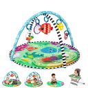 ベビーアインシュタイン Baby Einstein 2 in 1 ウォーターマット プレイジム【0ヶ月~】室内遊具 全身運動 12807