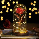 Lewondr 造花ドーム 枯れない花ガラスドーム 母の日のプレゼント メッキローズ バレンタイン 飾り 長持ち LEDライト付き 部屋飾り インテリア 引越し...