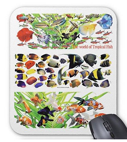 3グループの観賞魚のマウスパッド：フォトパッド（ 世界の熱帯魚シリーズ ）