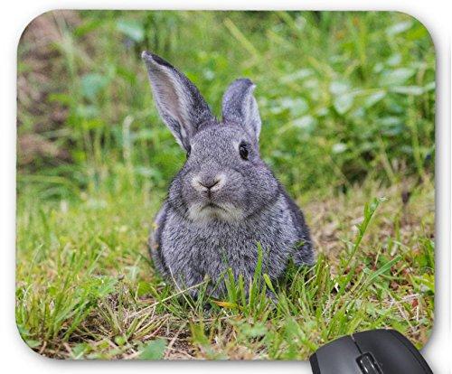 かわいいウサギのマウスパッド：フォトパッド（ 世界の野生動物シリーズ ）