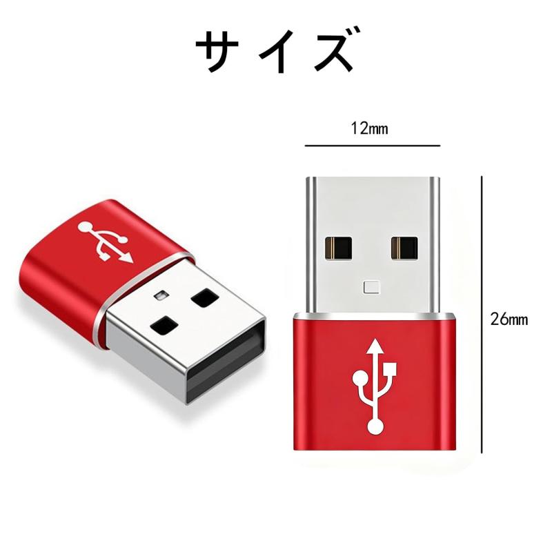 BRIIKPP TYPE-Cメス to USB...の紹介画像2
