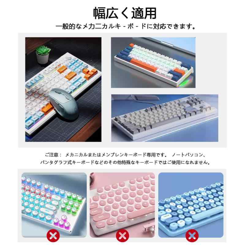 キートップ 外し キーキャッププラー キーボード 【2in1 両用】 キートップ引抜工具 ステンレススチール メンテナンス工具 黒 (単品) skylight-10682536 スカイライト サンプル画像3