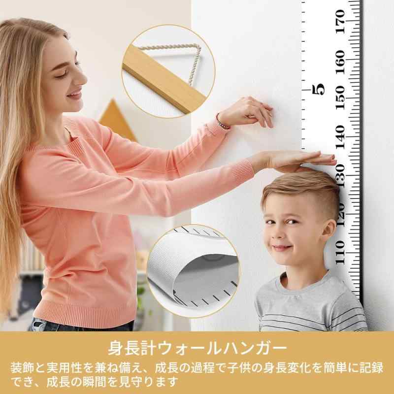 �Ҷ���Ĺ�� �ɳݤ� ��Ĺ¬�� �Ҷ�����Ĺ��Ͽ ¬���ϰ���2m ������ ���ձ� �Ҷ����� ����ƥꥢ �������� ¬��䤹�� �л��ˤ� �ץ쥼���