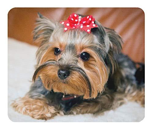 ヨークシャー・テリアのマウスパッド 2：フォトパッド（世界の犬シリーズ）