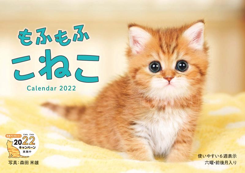 もふもふこねこ skylight-10493494 スカイライト パッケージ画像