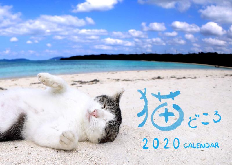 産経新聞社 猫どころカレンダー2020