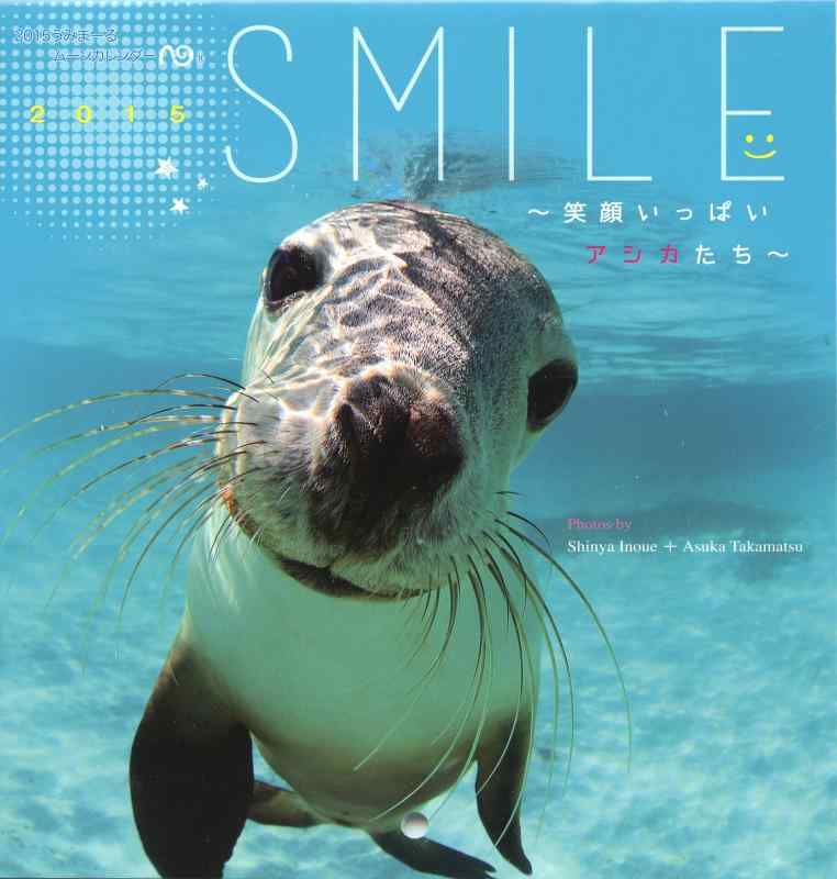 乐天商城 - 2015うみまーるミニムーンカレンダー `Smile−笑顔いっぱいアシカたち' (月の満ち欠け)