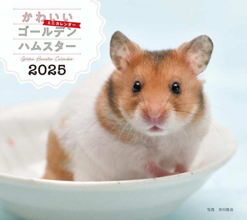 乐天商城 - 2025年カレンダー かわいいゴールデンハムスター (誠文堂新光社カレンダー)