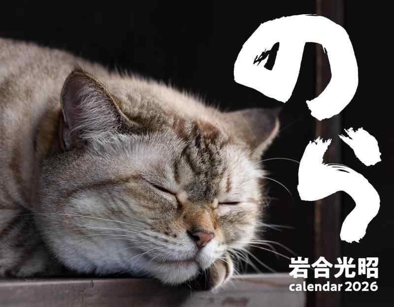Rakuten - 2026　猫カレンダー　のら