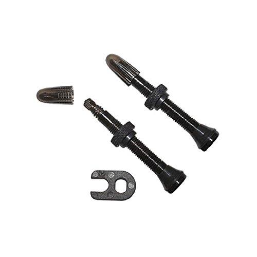 SCHWALBE (シュワルベ) チューブレス バルブ 2個入り 仏式/バルブ長40mm [並行輸入品]
