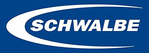 SCHWALBE (シュワルベ) チューブレス バルブ 2個入り 仏式/バルブ長40mm [並行輸入品]