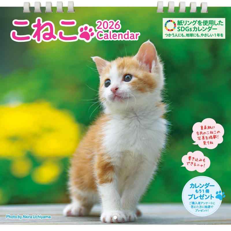 こねこカレンダー 2026 壁掛け（B4変型）／月めくり｜かわいい子猫写真｜六曜・満月新月・祝日・二十四節気入り｜紙リング・SDGs対応エコカレンダー ([カレンダー])