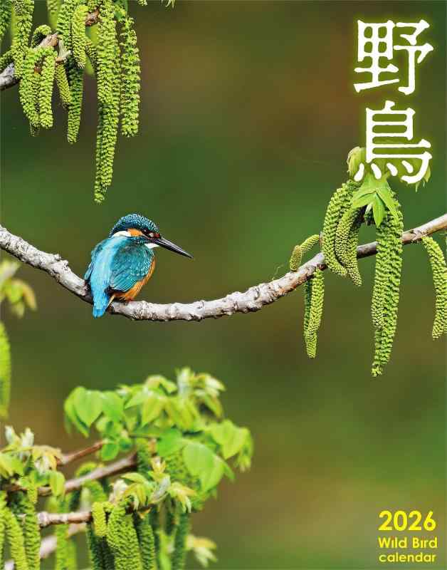 2026年 野鳥カレンダー B3 壁掛け｜写真公募による厳選作品｜四季の日本の野鳥