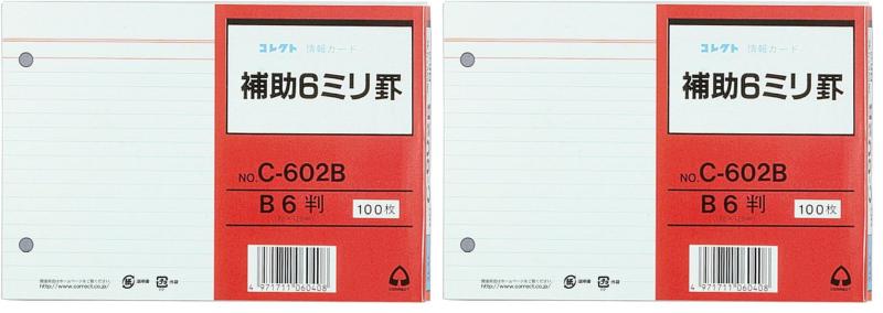 コレクト 情報カード B6 補助 6ミリ罫 2穴 C-602B skylight-10512708 スカイライト サンプル画像2