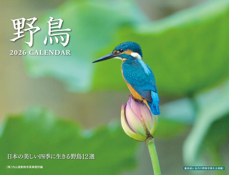 野鳥カレンダー 2026 壁掛け（B4変型／月めくり）日本の四季と美しい野鳥写真｜六曜・祝日・満月新月・二十四節気入り｜大きく見やすい壁掛けカレンダー｜バードウォッチング・鳥好きに