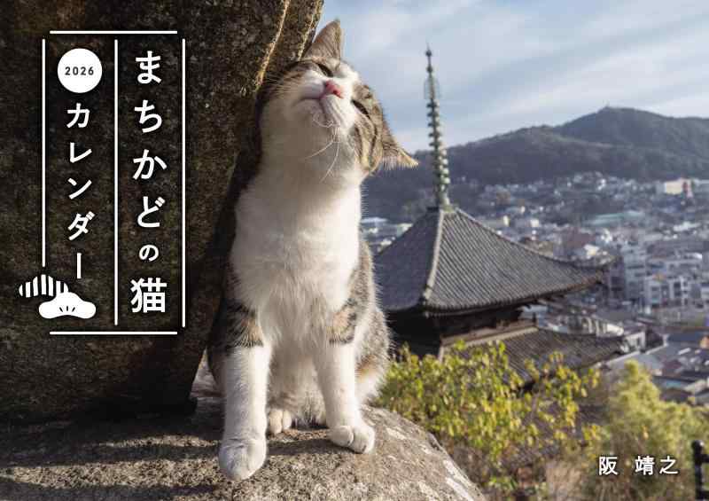 まちかどの猫カレンダー 2026（壁掛け） ([カレンダー])