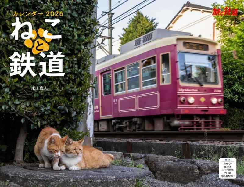 ねこと鉄道（月めくり/壁掛け）（イカロスカレンダー2026） ([カレンダー])