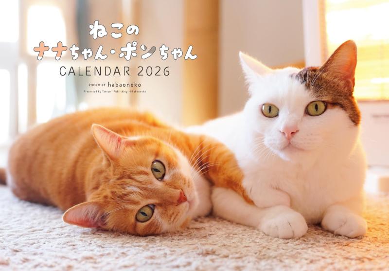 乐天商城 - 2026　ねこのナナちゃん・ポンちゃんカレンダー