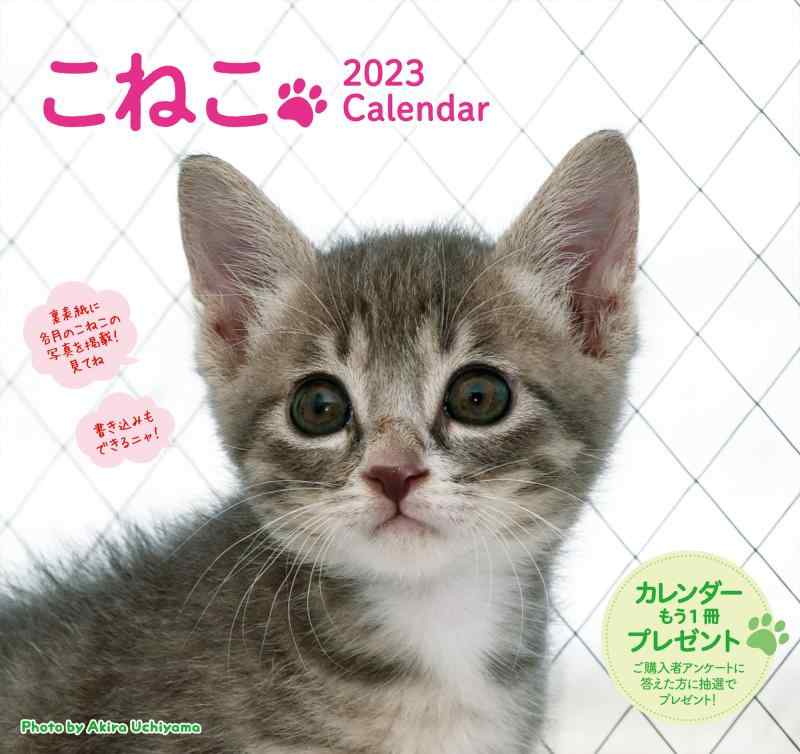 樂天商城 - 2023こねこカレンダー [カレンダー]