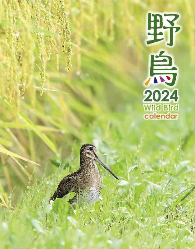2024年 野鳥カレンダー(専用アプリAR動画機能付)壁掛け