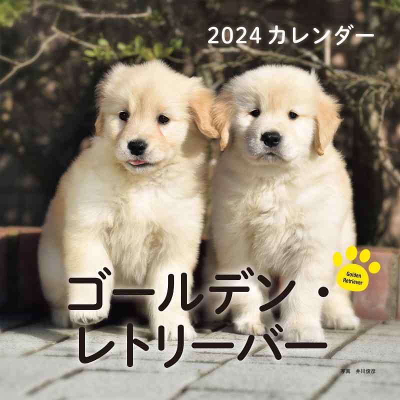 2024年カレンダー ゴールデン・レトリーバー (誠文堂新光社カレンダー)