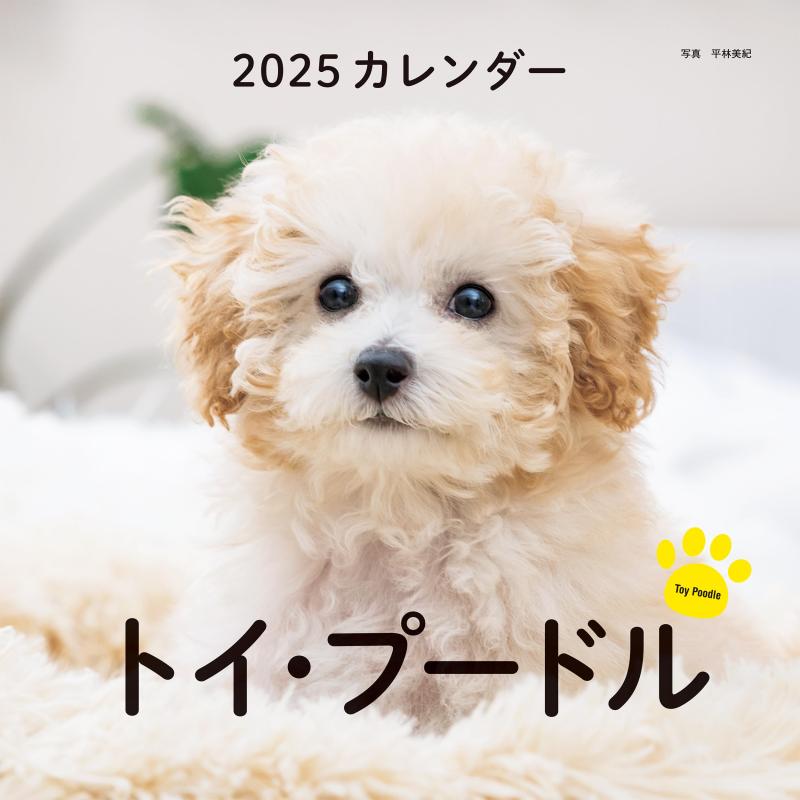 樂天商城 - 2025年カレンダー トイ・プードル (誠文堂新光社カレンダー)