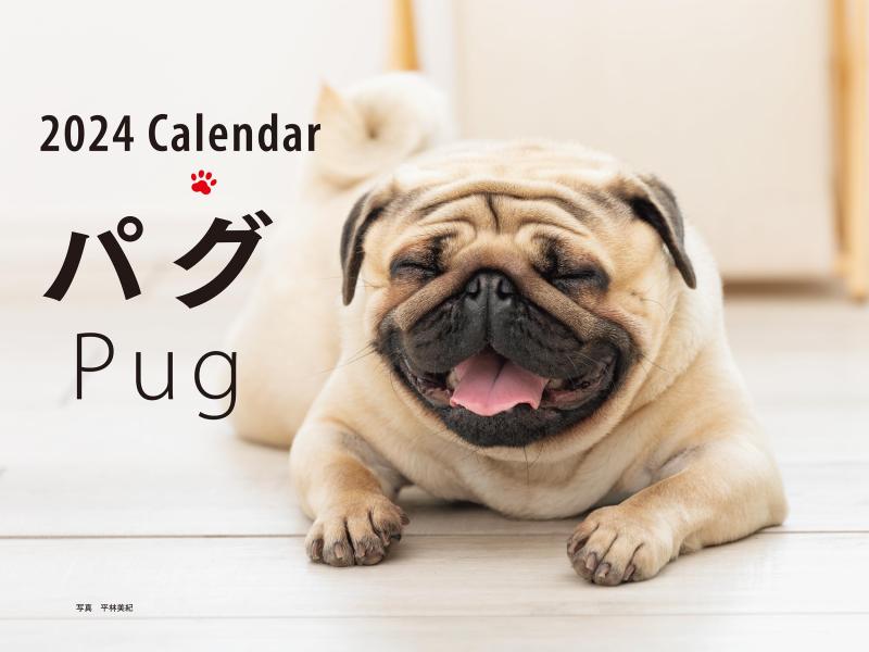 2024年カレンダー ワイド判 パグ (誠文堂新光社カレンダー)