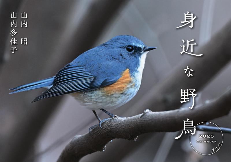 身近な野鳥カレンダー 2025（壁掛け） ( カレンダー )