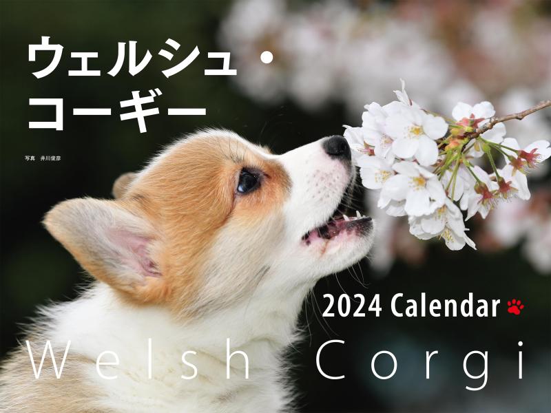 2024年カレンダー ワイド判 ウェルシュ・コーギー (誠文堂新光社カレンダー)