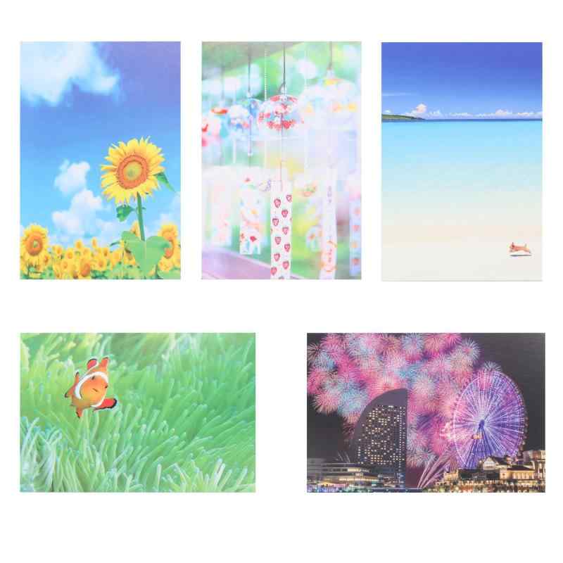 【5枚入り】 ポスト カード メッセージ 写真 夏 日本 風景 ひまわり 風鈴 砂浜 クマノミ 花火 はがき 暑中見舞い グリーティング お祝い おしゃれ 季節 挨拶 ギフト用 大人 向け リーフ ワー