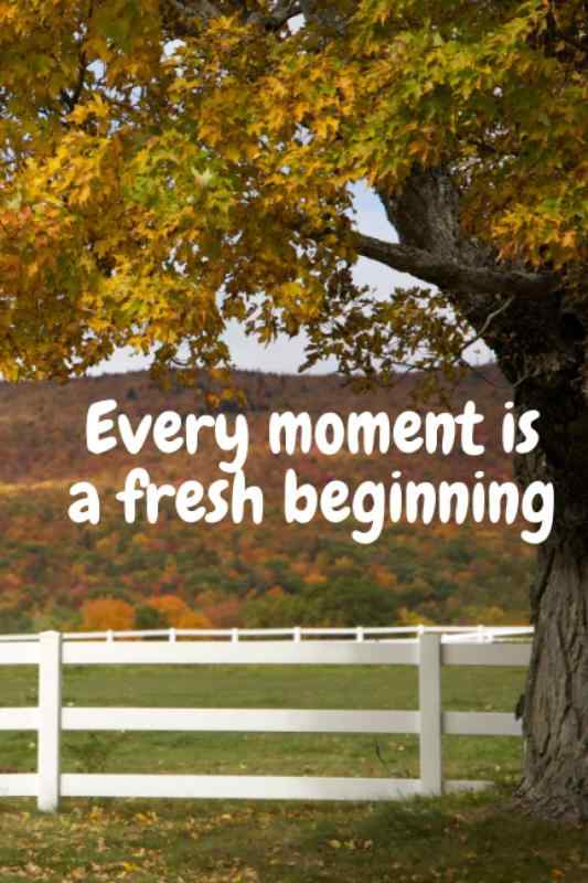 Every moment is a fresh beginning.: Daily planner notebook, Day planner notebook, Motivational notebook, Inspirational notebook