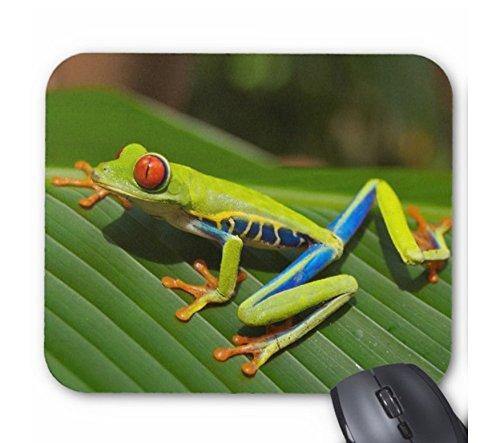 アカメアマガエルのマウスパッド 1：フォトパッド（世界のカエルシリーズ）