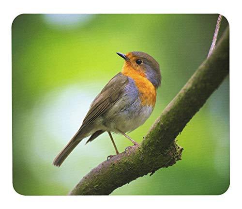 ヨーロッパコマドリのマウスパッド：フォトパッド（ 世界の野鳥シリーズ ）