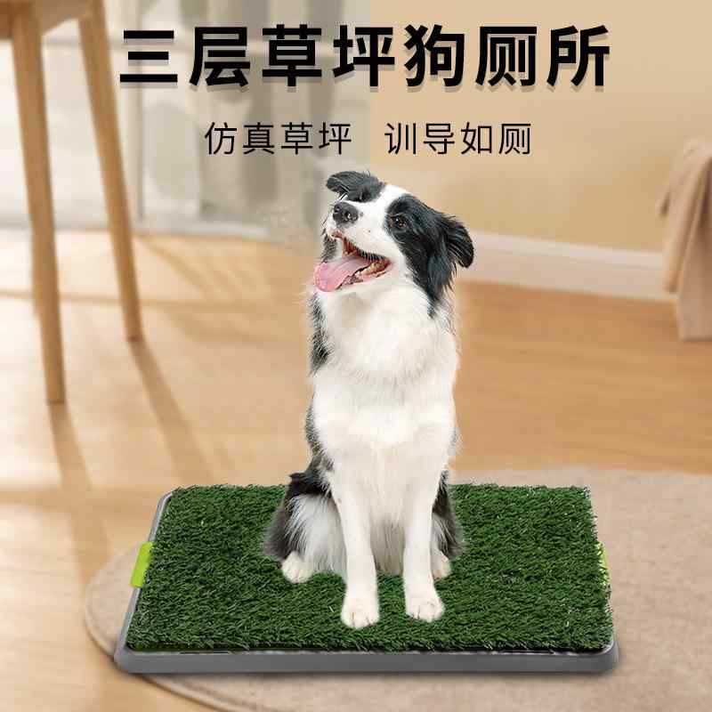 芝生の 犬の トイレの 特大 サイズの 3 階の 犬の トイレの 糞の 便器の 定点は トイレの ペット 用品を 訓練 して 越境 します。
