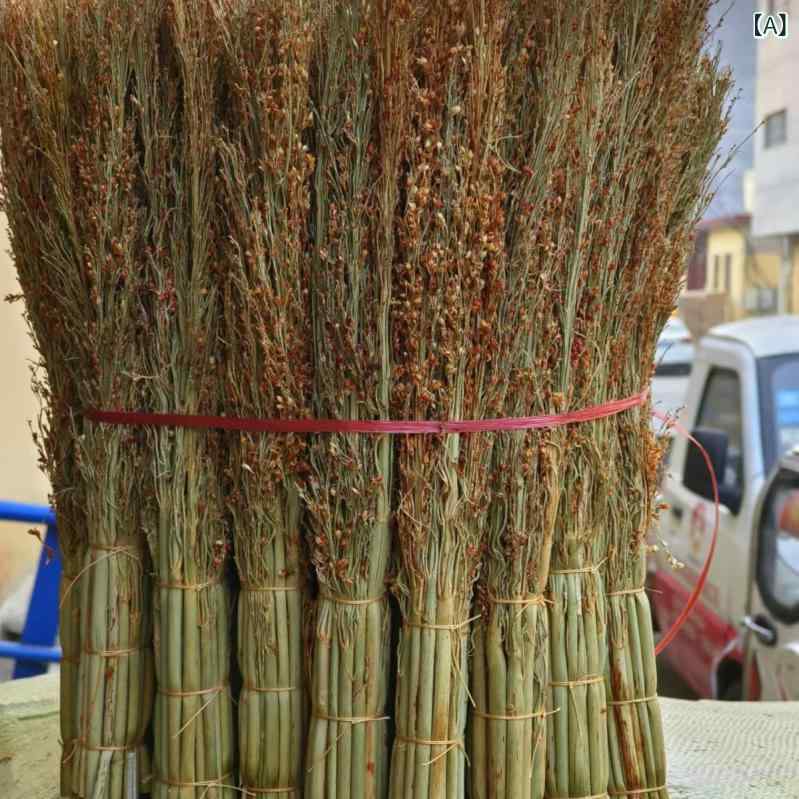 コウリャンの 鍋は 赤い コウリャンの 苗の 鍋を こすって たきを こすります。