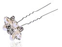 【中古】【輸入品・未使用】Alilang レディース 美しいベージュフラワーシルバーヘアクリップ