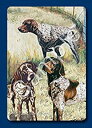 【中古】【輸入品・未使用】Braque Allemand Chien Cartes Concu par Ruth maystead (gsp-pc)