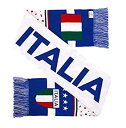 【中古】【輸入品・未使用】ItaliaイタリアサッカーHDニットスカーフ