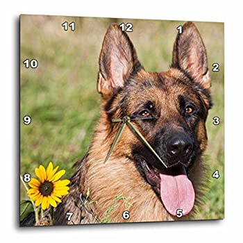 【中古】【輸入品・未使用】3dRose DPP_145330_3 ジャーマンシェパード犬のポートレート Us32 Zmu0080 ..