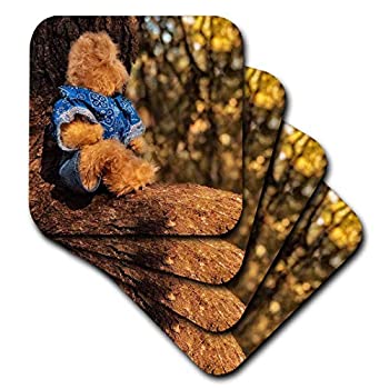 yÁzyAiEgpz(set-of-4-Soft) - 3dRose cst_164752_1 Teddy Bear Sitting in a Tree Thinking of You Soft Coasters%J}% Set of 4