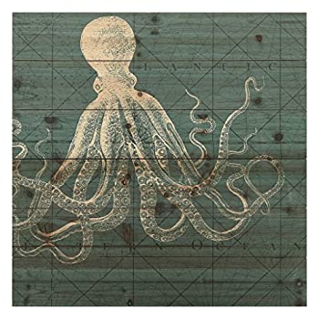 šۡ͢ʡ̤ѡEMPIRE ART Direct Coastal Menagerie A 24 in. X 24 in. X 1...