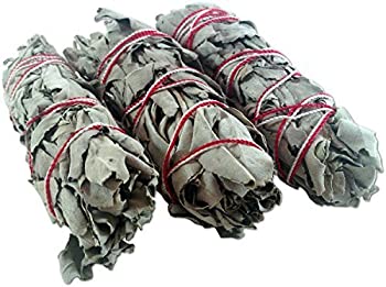 【中古】【輸入品・未使用】4?xホワイトセージスマッジSticks???3?Pack of 4?%ダブルクォーテ% Sticks 【中古】【輸入品・未使用】4?xホワイトセージスマッジSticks???3?Pack of 4?%ダブルクォーテ% Sticks